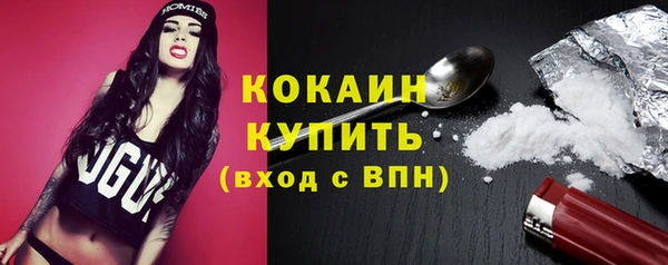 соль ск Кукмор