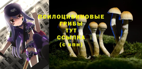 соль ск Кукмор
