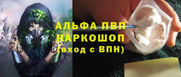 соль ск Кукмор