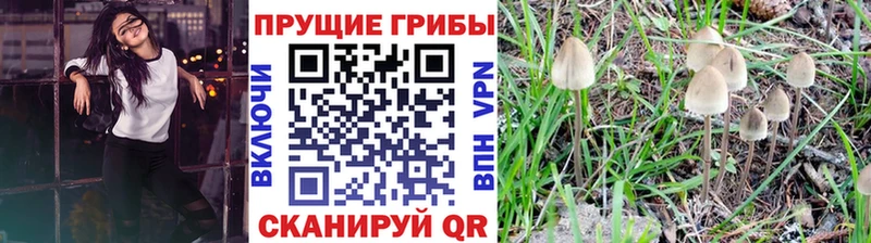 Псилоцибиновые грибы GOLDEN TEACHER Снежногорск