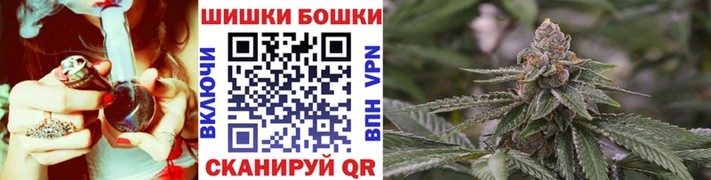 наркотики  mega   МАРИХУАНА SATIVA & INDICA  Снежногорск 